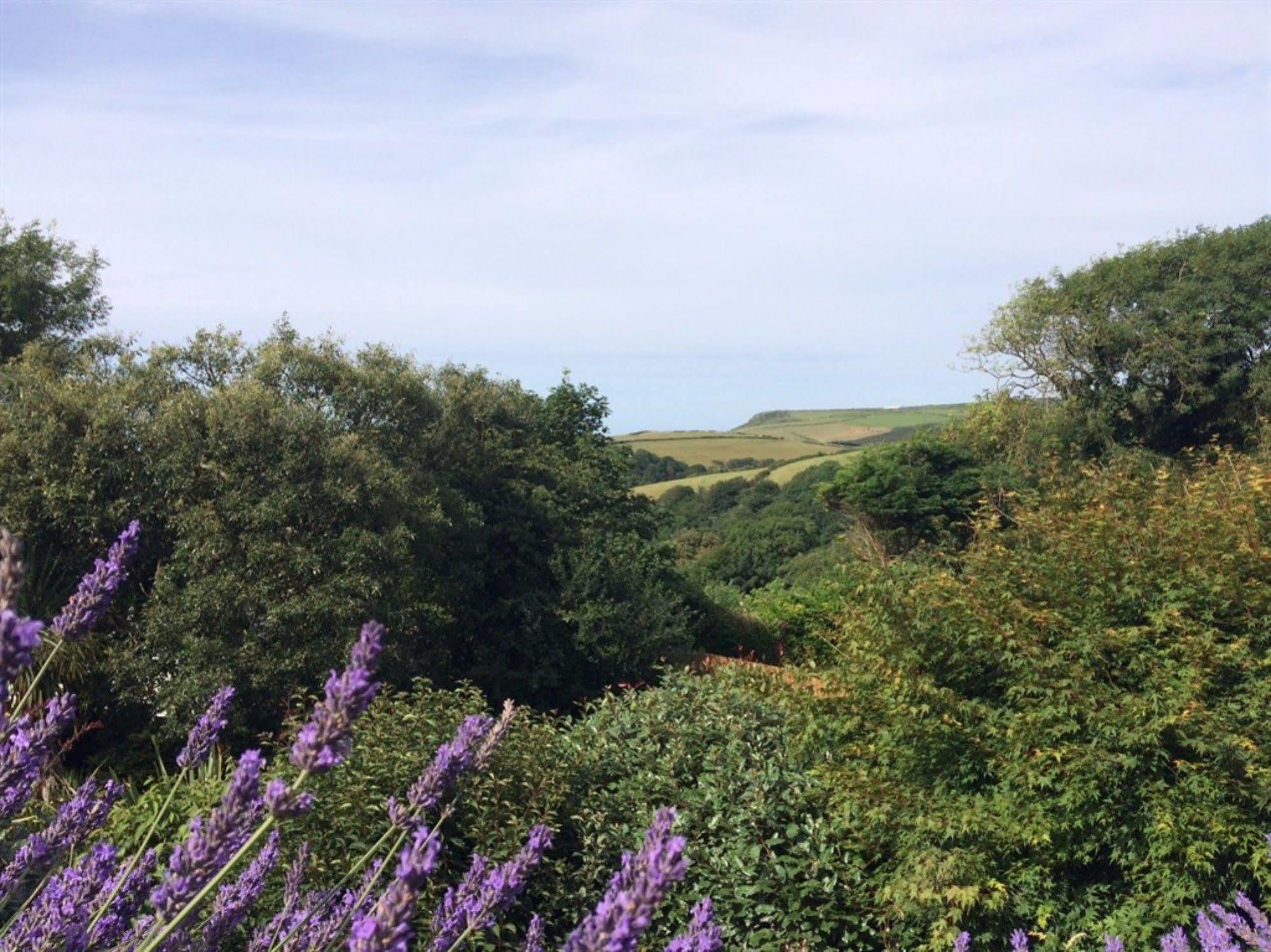 Bed and Breakfast Boscastle House Exteriér fotografie